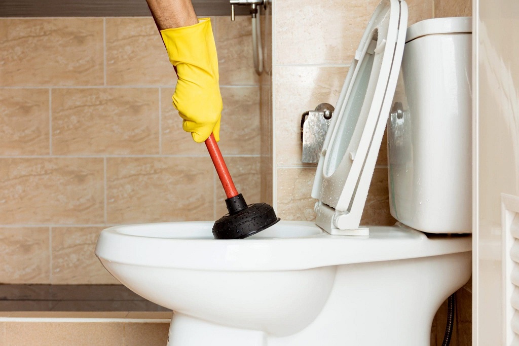 How to clear a sluggish toilet