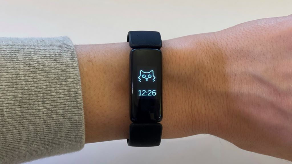 When To Contact Fitbit Support