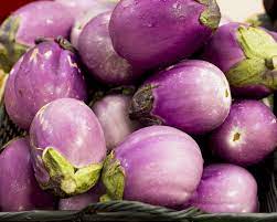 The Origins Of Eggplants