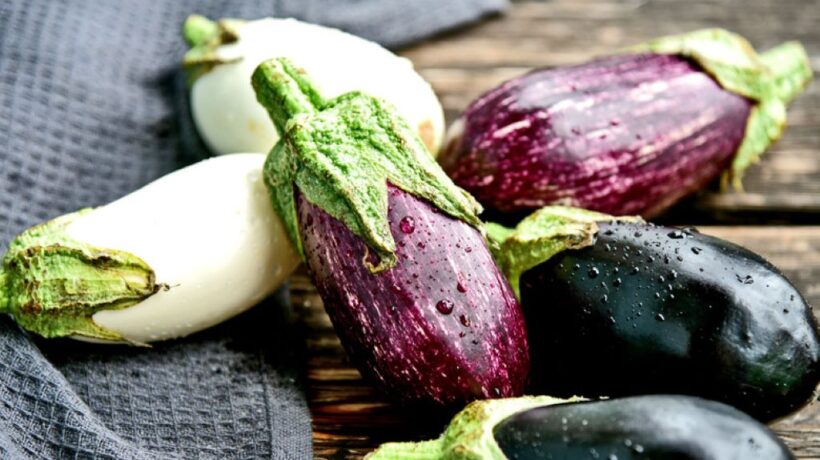 What is the Difference between Purple And White Eggplant? Unraveling the Hues