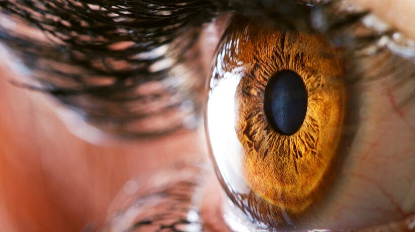 What is the Resolution of the Human Eye? Unveiling the Visual Prowess