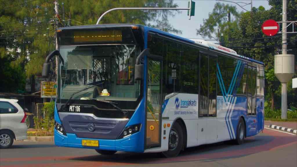 Is public transport more environmentally friendly