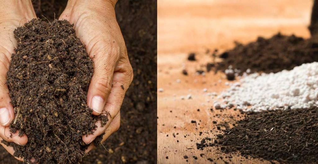 Why You Shouldn't Use Harsh Chemicals on Your Stone
