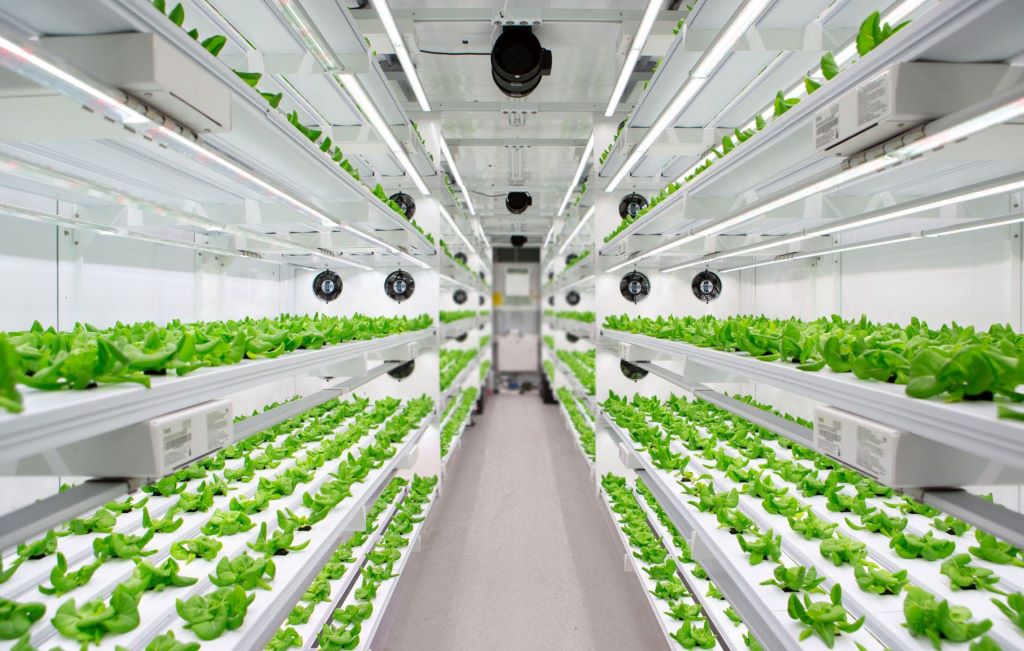 What types of crops are best suited for vertical farming?